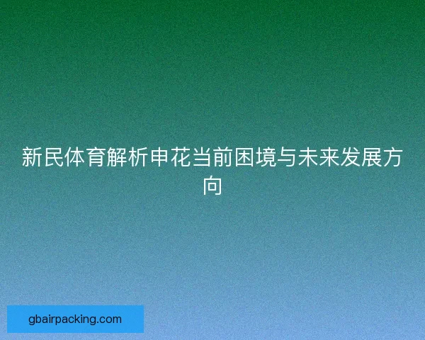 新民体育解析申花当前困境与未来发展方向
